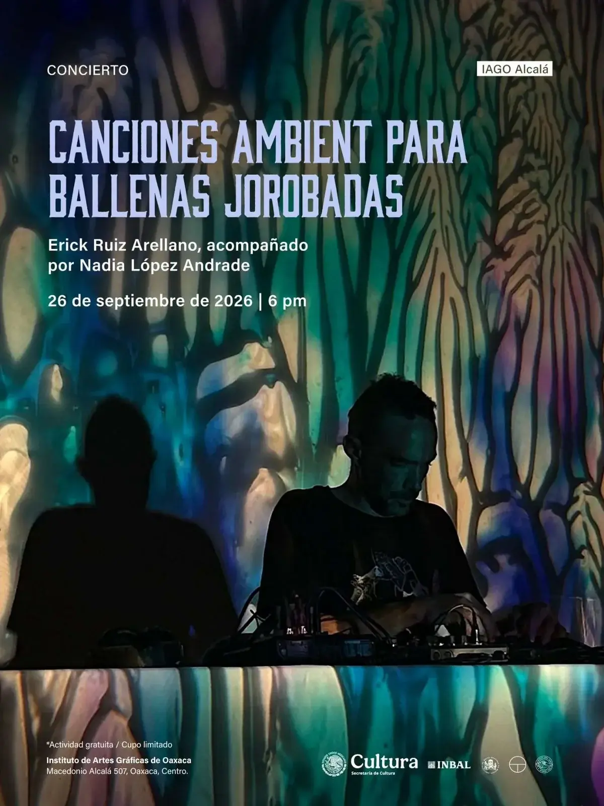 Flyer del evento: Ambient songs for humpback whales